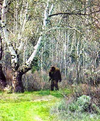 Video - Bigfoot Caught on Tape (HD) | Cryptid Wiki 