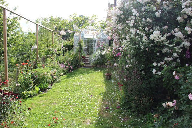 Roses Du Jardin Cheneland Hydrangea Paniculata Early Sensation