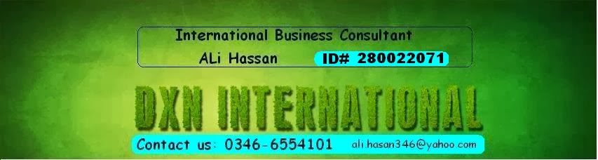 International Business Consultant