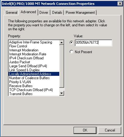 MAC Address Binding in VMware Virtual Machine