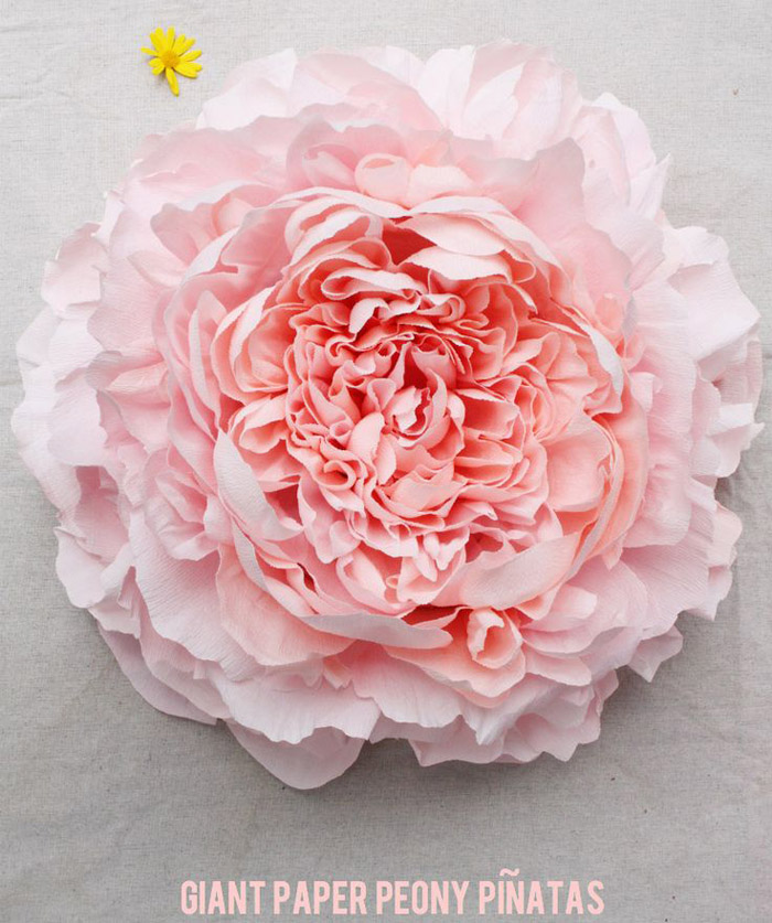 Growing With Plants Raising Great Peonies Three Generations Of