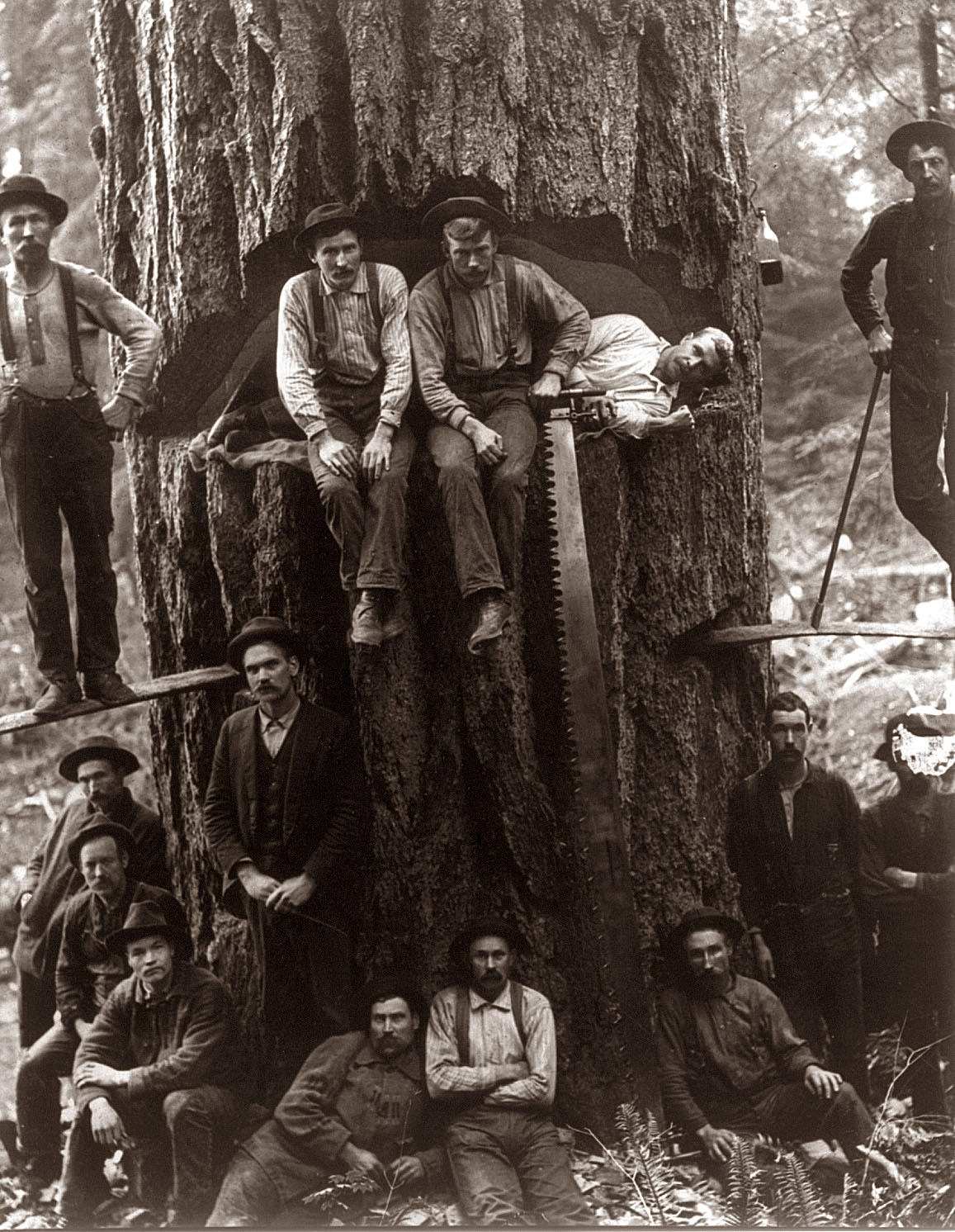 Old Picture of the Day Lumberjacks