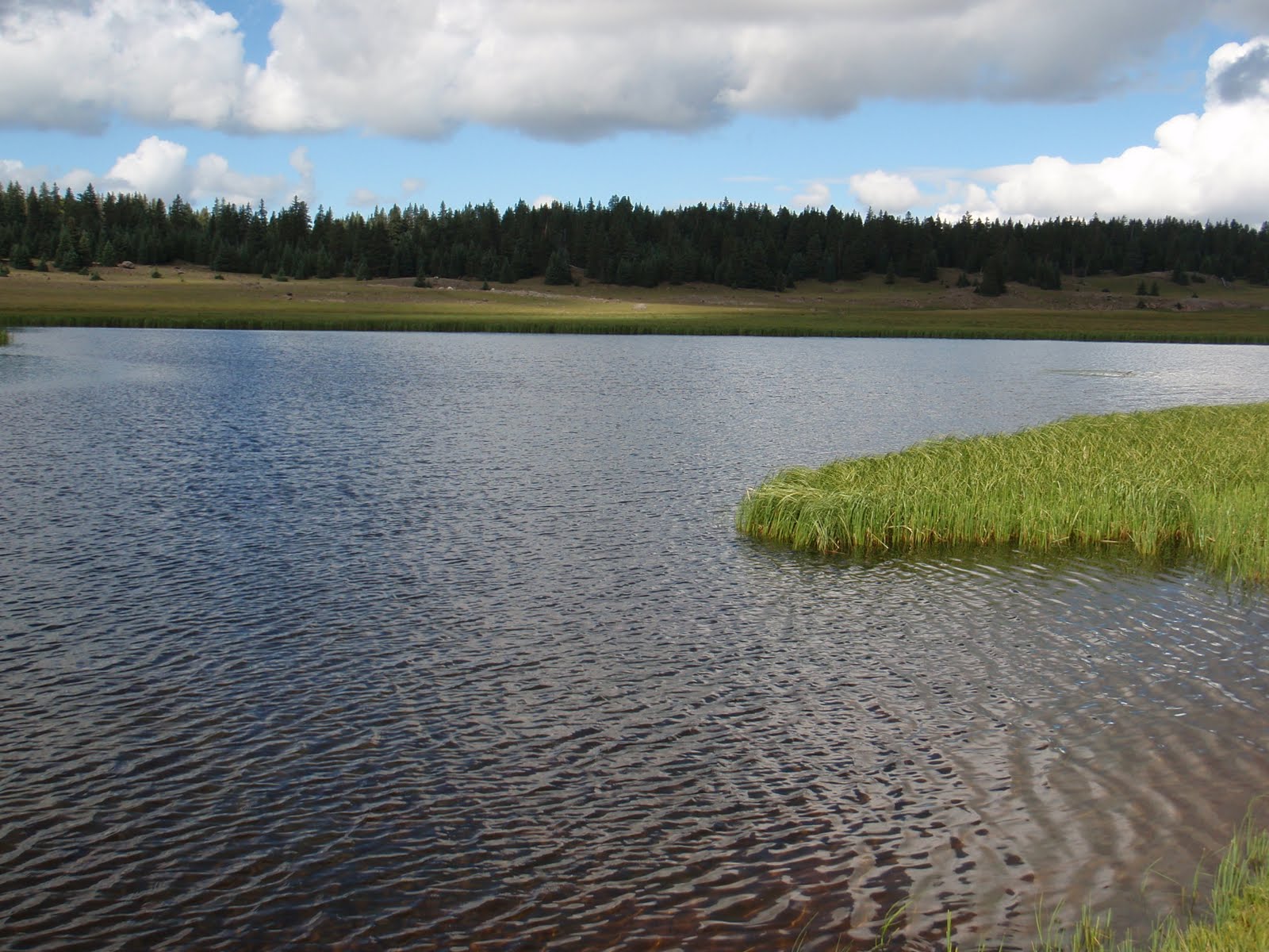 Southern Utah Fly Fishing ,Quiet Fly Fisher Guide Service & Fly Shop