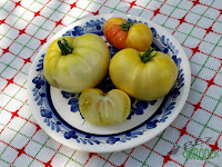 Białe i kremowe pomidory na sałatki