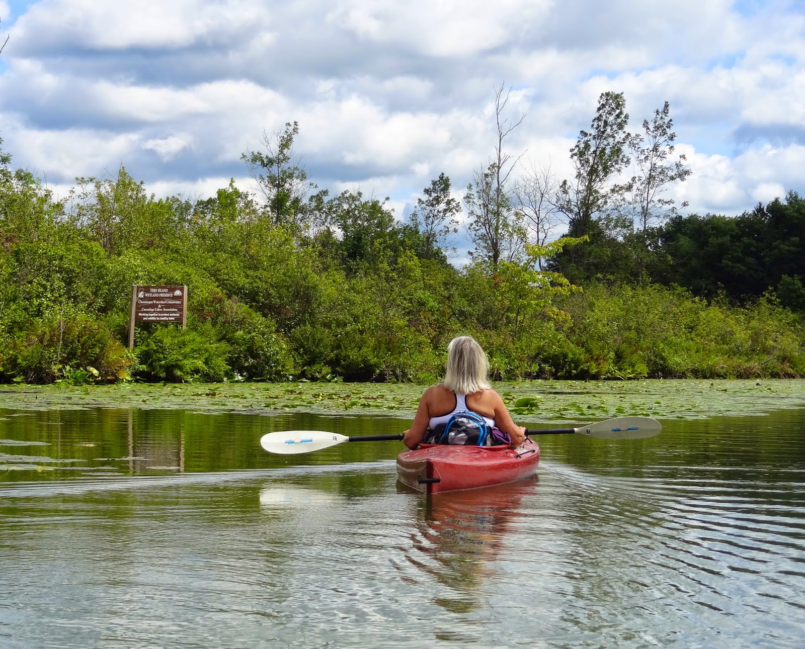 EARLY RISING ON CHAUTAUQUA LAKE Chilly Morning (Kayaking Cassadaga