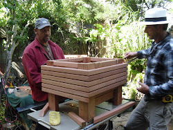 Fausto and Marc building a box