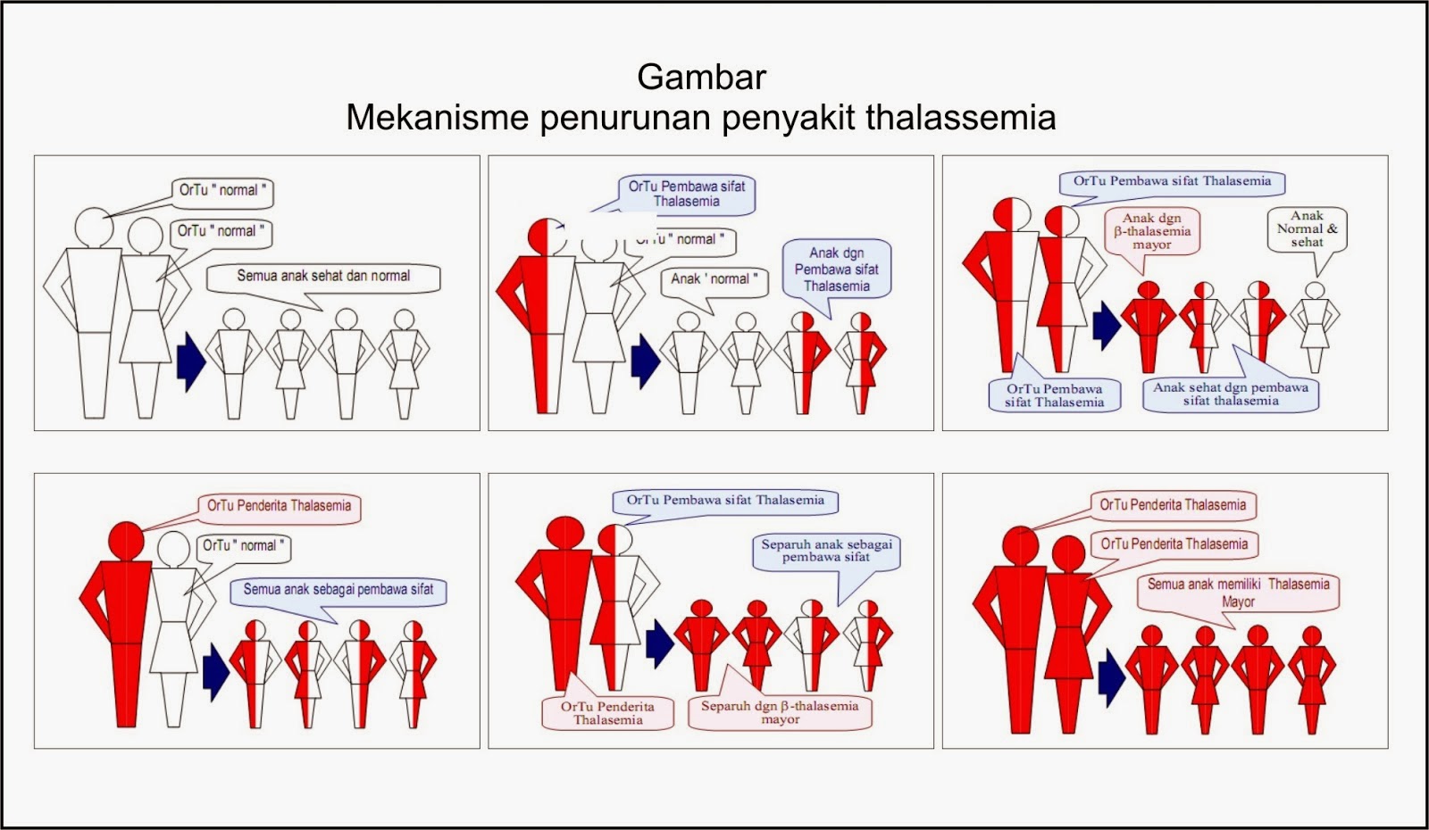 Thalassemia boleh berlaku kepada