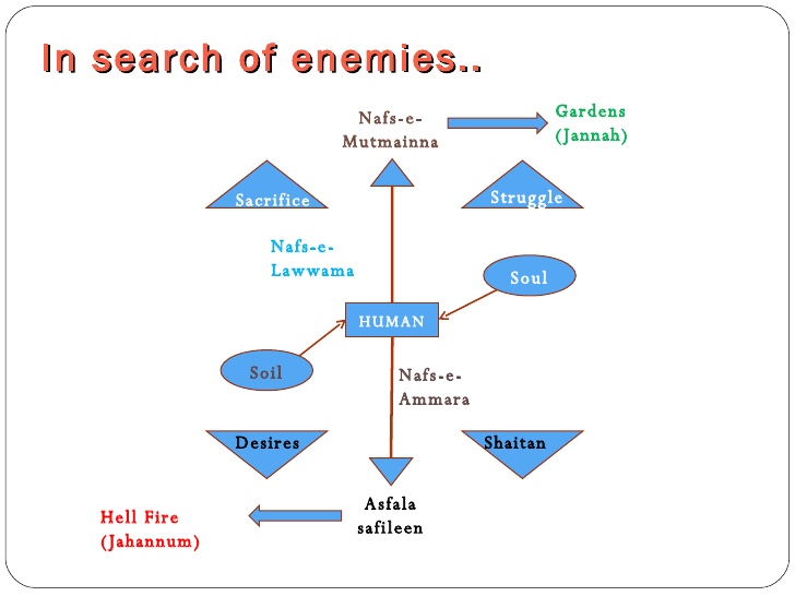 Fully Activated Islamic Blog. Chapter3 Types of (Nafs)Ego