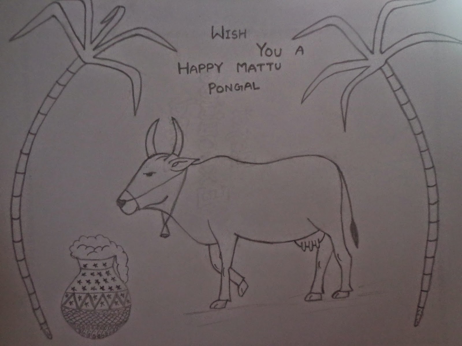 Featured image of post How To Draw Pongal Cow Allow the lines to meet at a rounded right angle
