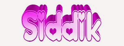 Siddik 3D Name Logo