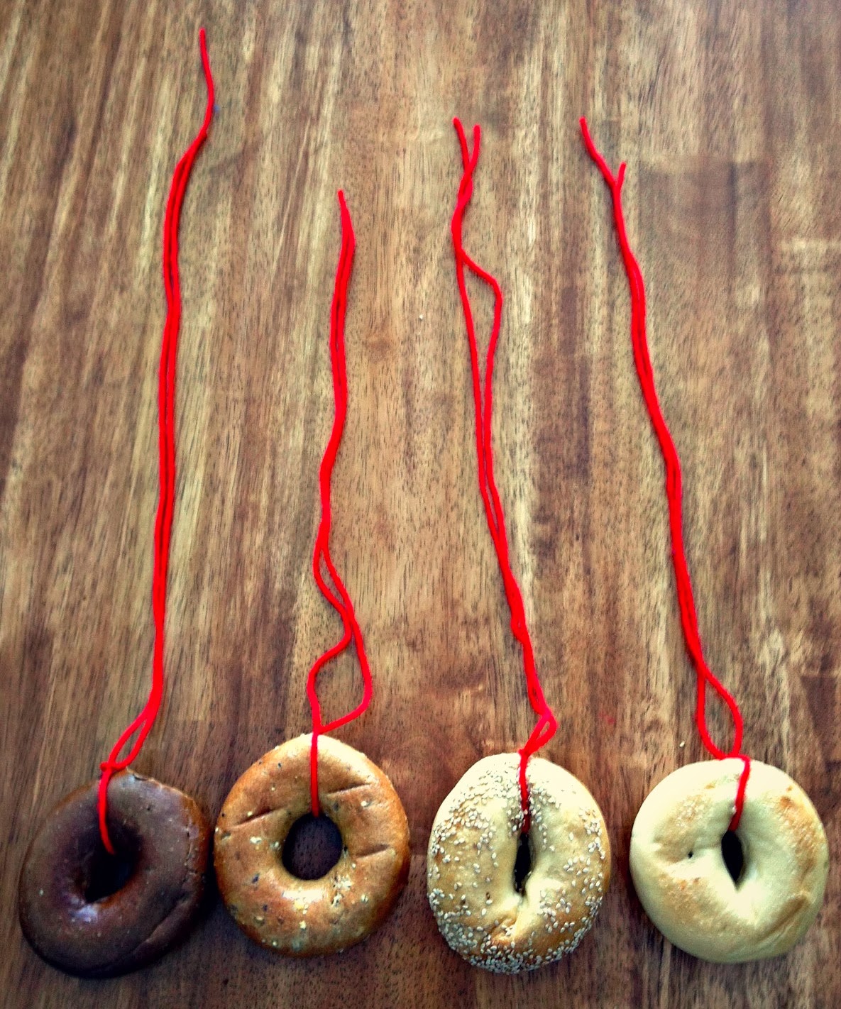  A Symphony of Starlings & How We Turned The Bagel Bounty of 2014 into