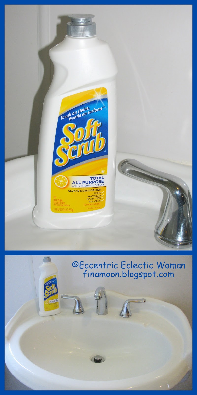 Eccentric Eclectic Woman Soft Scrub Total All Purpose Bath & Kitchen