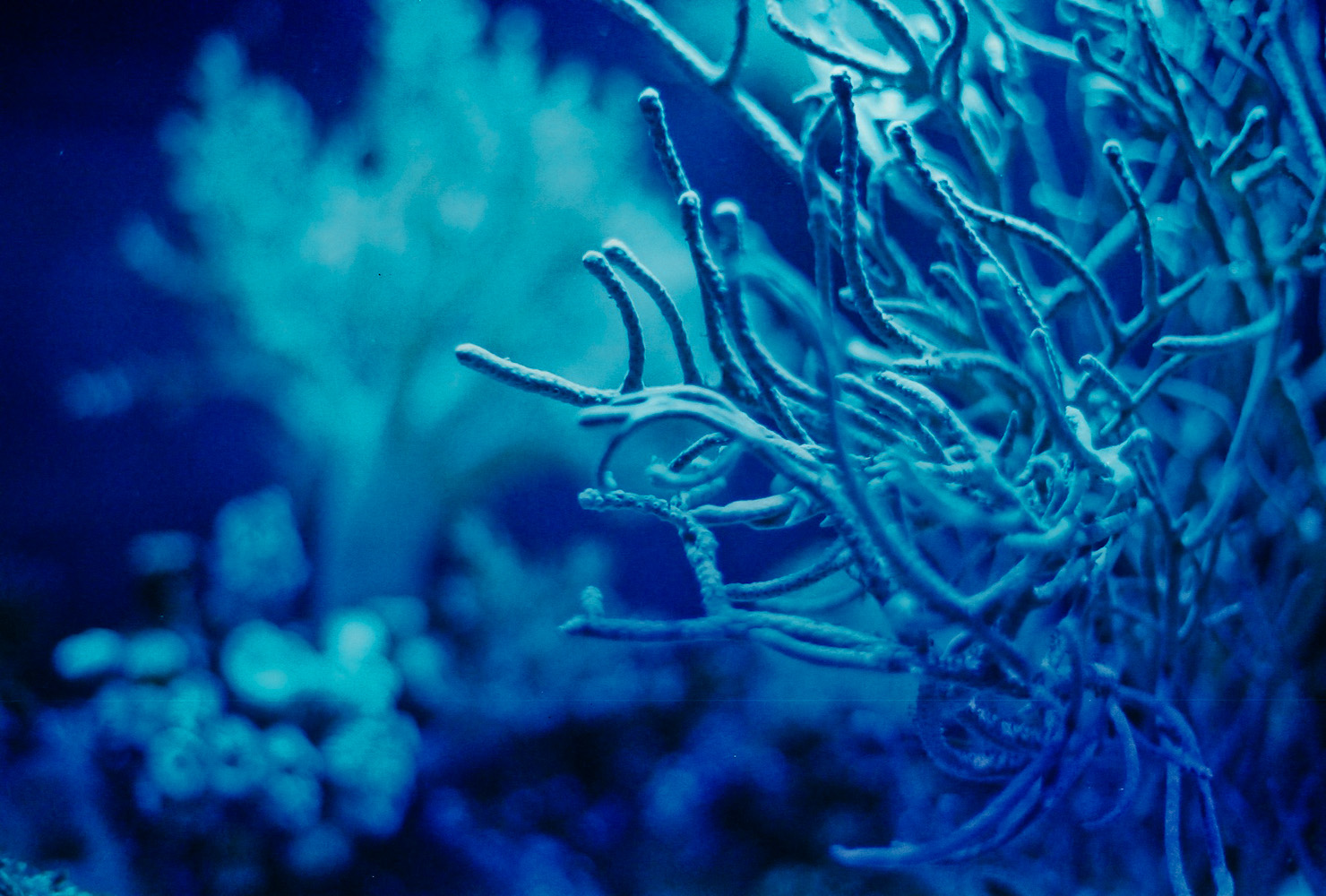 selection of light aquarium film