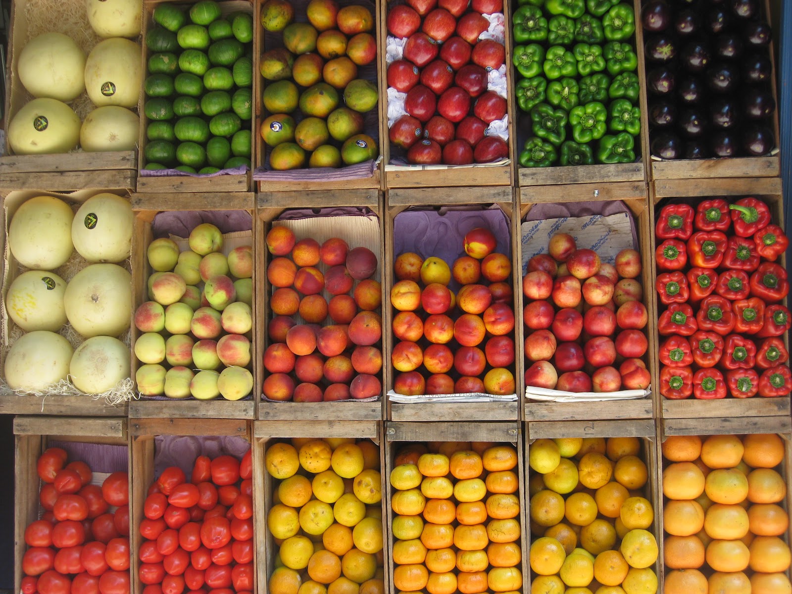 Jane's Travels featuring Mary Gair in Chile and Argentina Fruit!