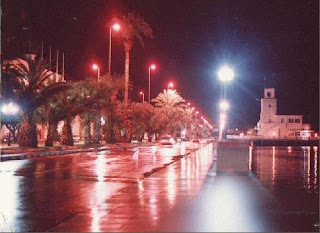 Mauris euismod rhoncus tortor