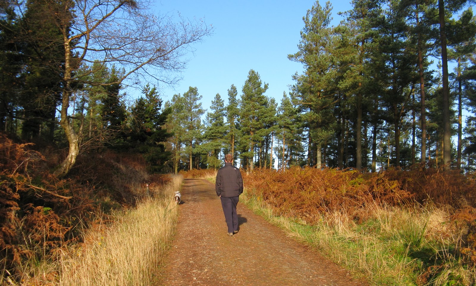 Neil's Hillwalking Exploits Tosson Hill