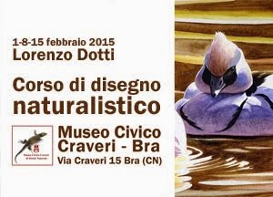 Bra Corso disegno naturalistico