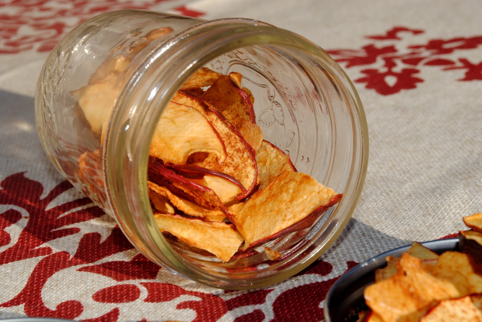 Homemade Dried Apple Chips Fit Foodie Finds