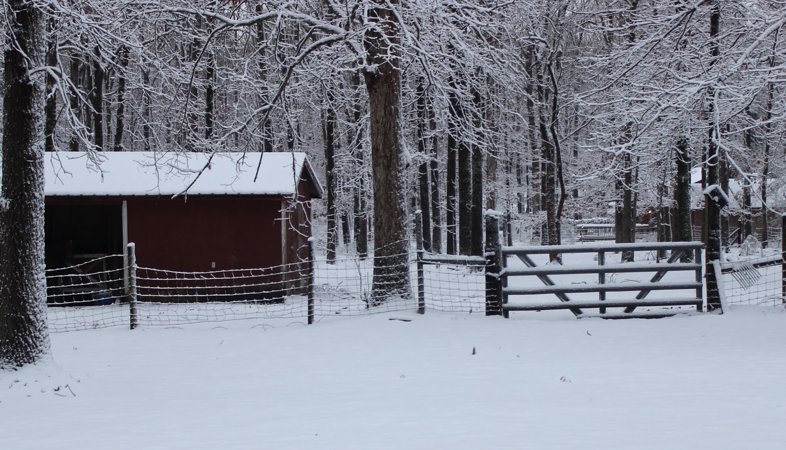 On the Road again... Snow in Arkansas