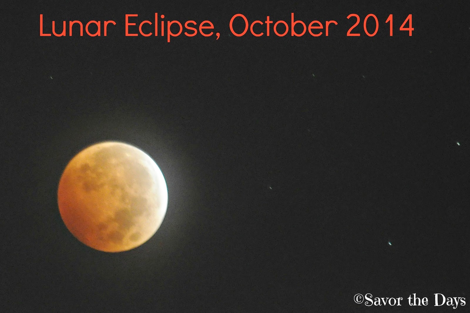 Savor The Days: Lunar Eclipse, October 2014