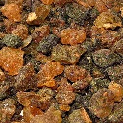 le casse du sicle - YouTube