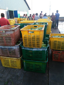 Fresh vegetables and fruits just discharged from boats.