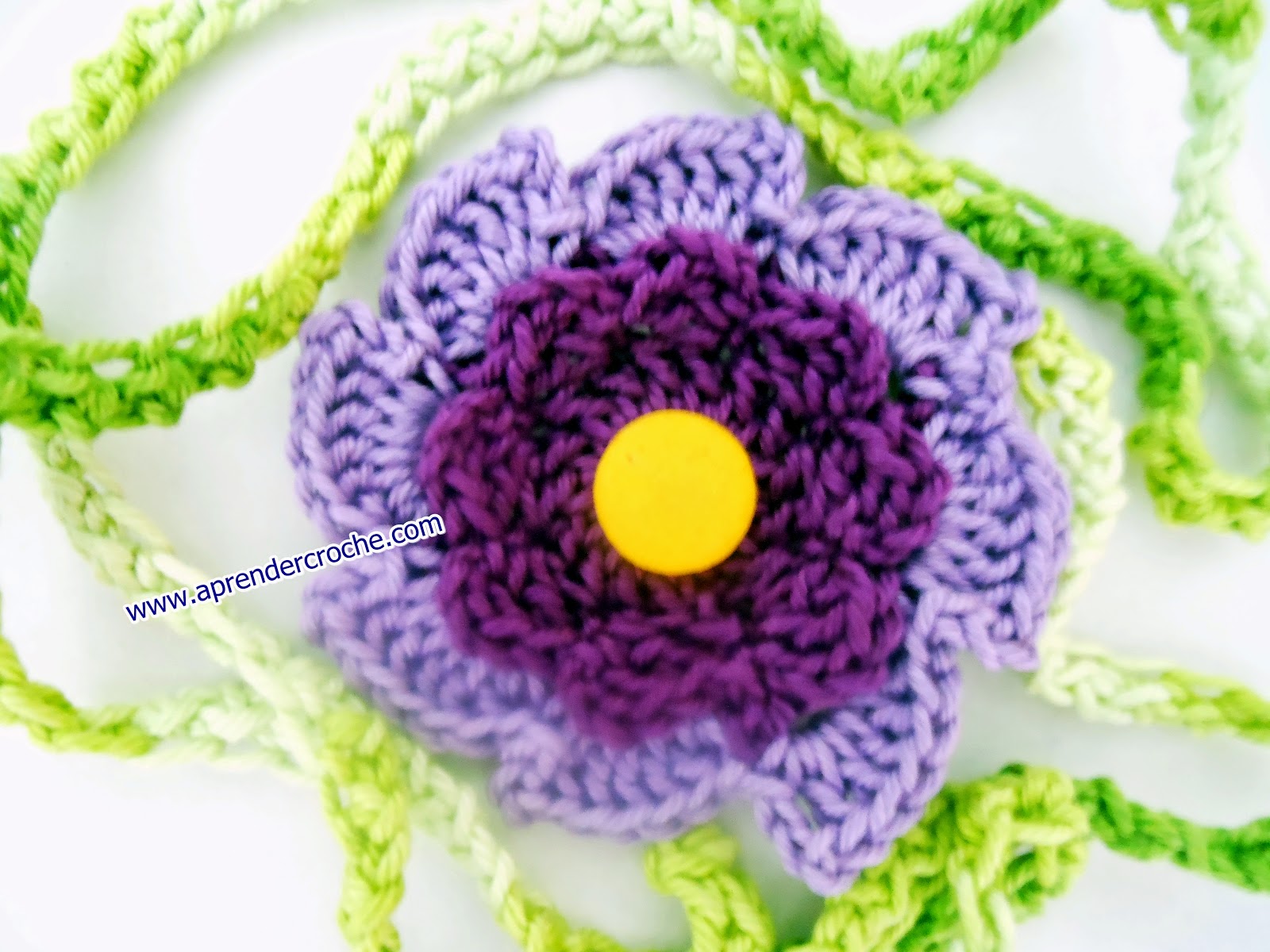 cem flores em croche coleção dvd aprender croche com edinir-croche loja
