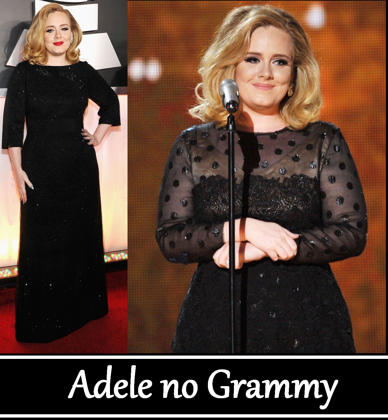 http://1.bp.blogspot.com/-WrMJjnT0wyM/TzkzqwqEiBI/AAAAAAAAA88/KdzdVgKA0Zo/s1600/adele+no+grammy1.jpg