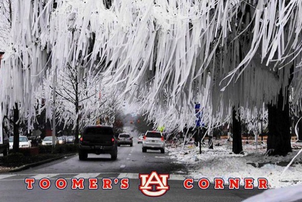 auburn tree poisoner