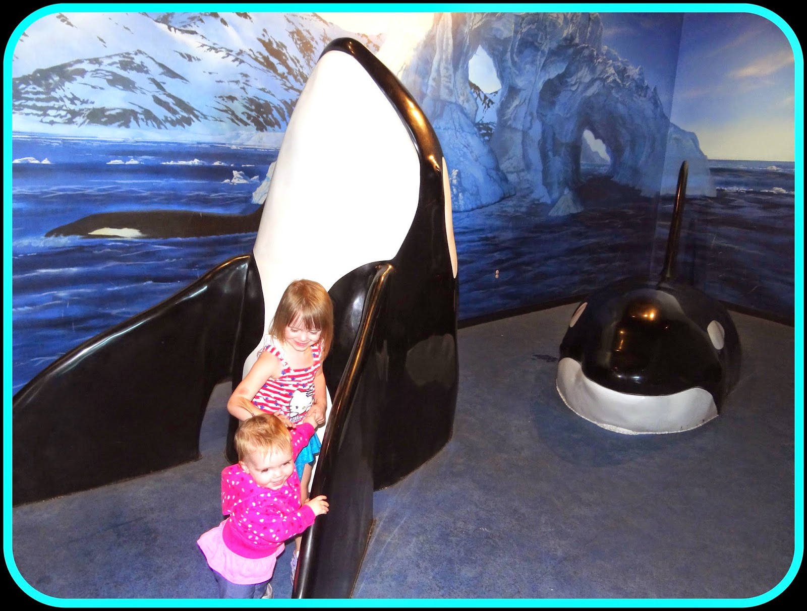 Pattie's Place The Living Aquarium Trip in Sandy, Utah