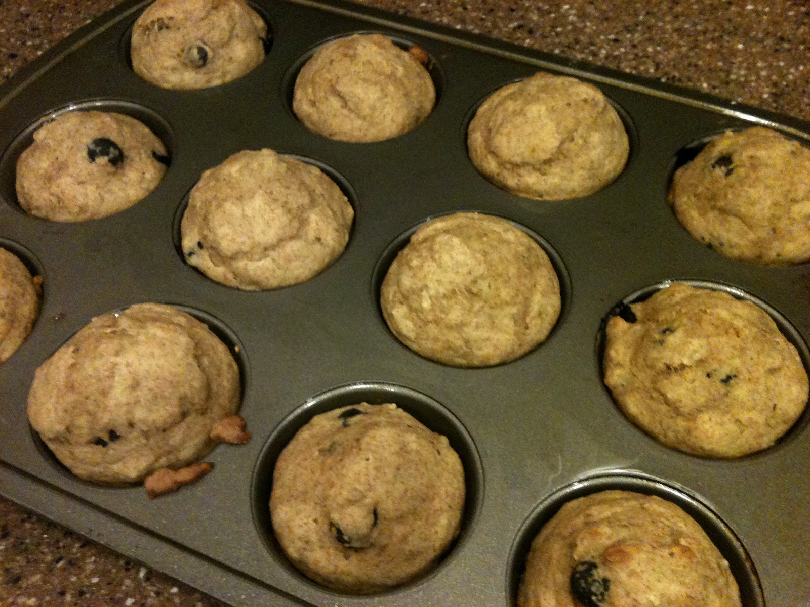 Blueberry Muffins for Babies and GrownUps Joyfully Prudent
