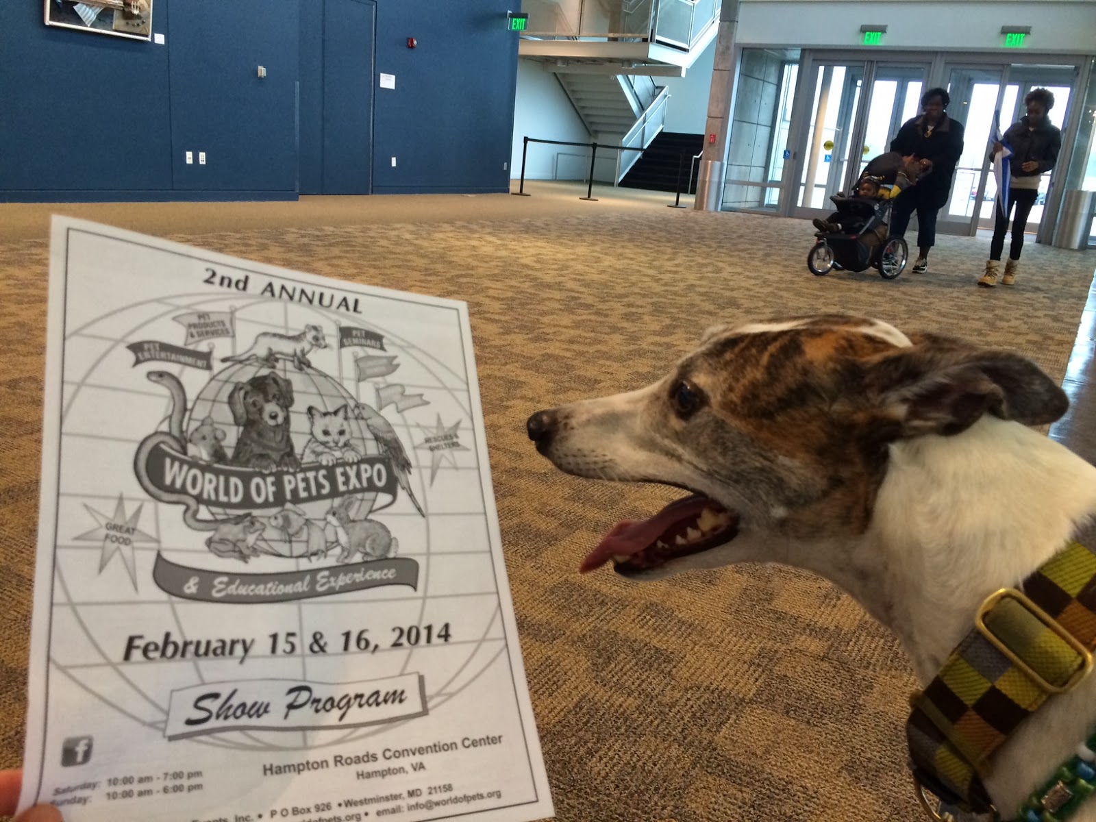 Pawstcards from Hampton Roads World of Pets Expo, Hampton, VA