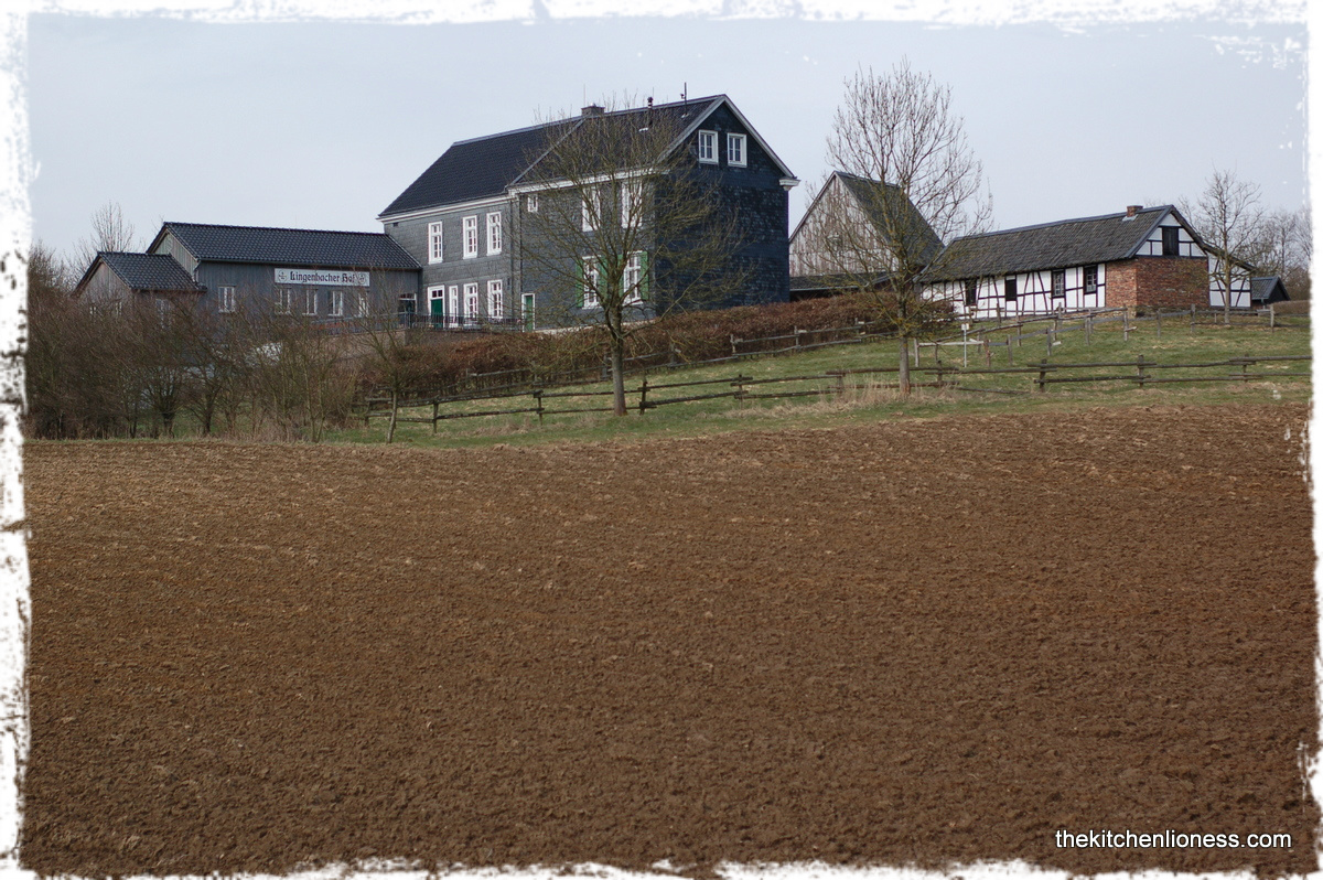 The Kitchen Lioness Burger Brezel Burger Pretzel