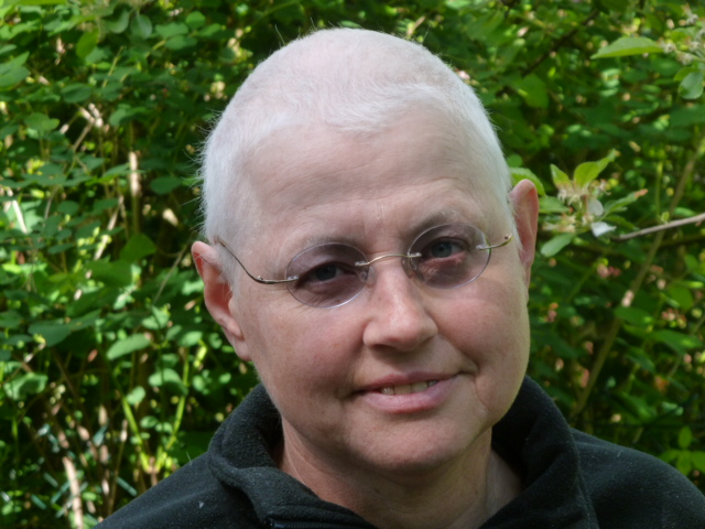 The adventures of a person with eclectic interests: Chemo hair regrowth