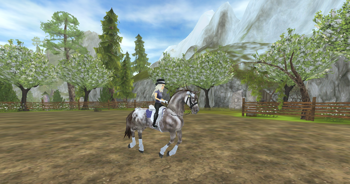 star stable database saddle bags