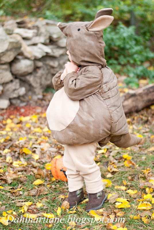 Dahlhart Lane Armadillo Costume