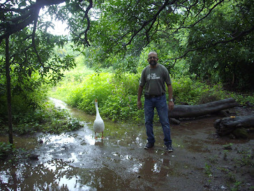 Viewing butterflirs and a goose at Ovalekar Wadi.:- Blogger Rudolph.A.Furtado.