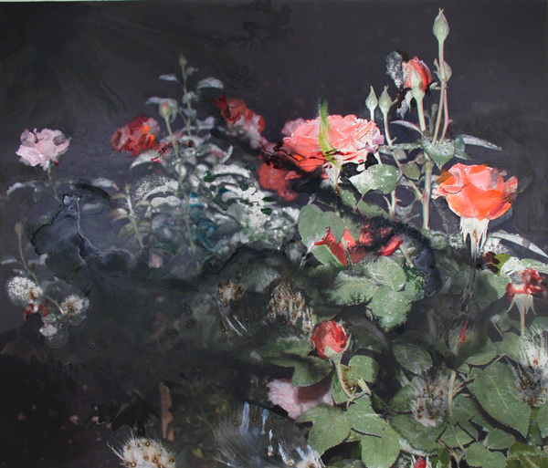 Roses 2011 by Timothy Cross 34x 42 ink oil and acrylic on UV print on