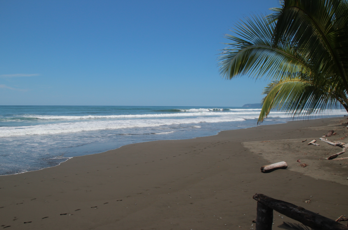 The Surfer's Guides Punta Banco That's right, banco!