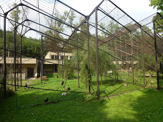 "Kaunas Zoo, de moeite waard" 04-09-2011  Toegangsprijs erg goedkoop, er was voldoende te zien. De wandelpaden zijn niet best op sommige plaatsen. Ik ben er twee maal geweest en zou er ooit nog wel eens gaan kijken.