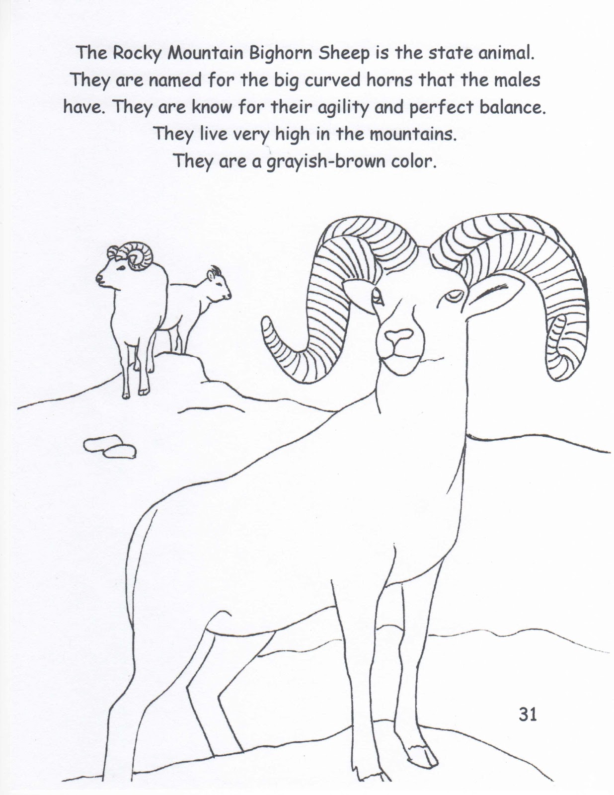 Bighorn Sheep Coloring Pages - Learny Kids