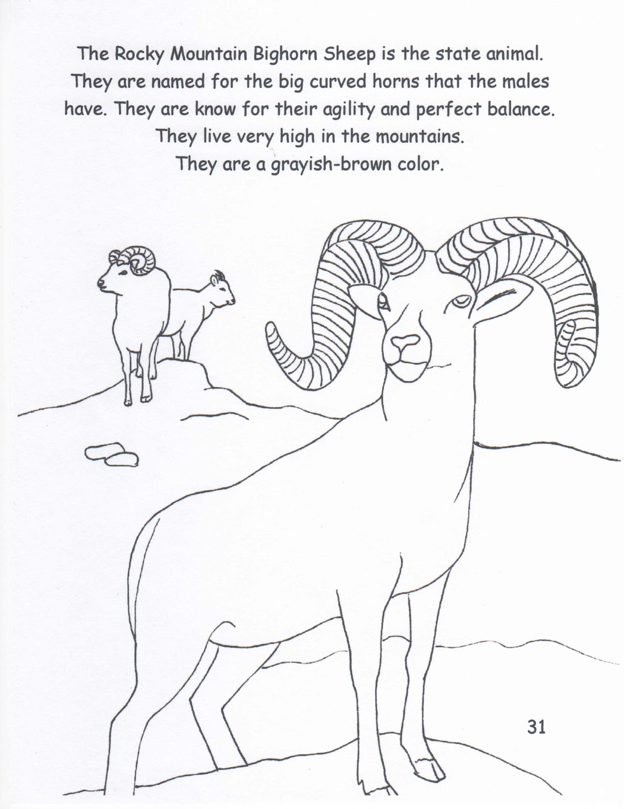 Coloring Pages Of Mountain Animals : Rocky mountain bighorn sheep coloring page Coloring Pages Of Mountain Animals : Rocky mountain bighorn sheep coloring page