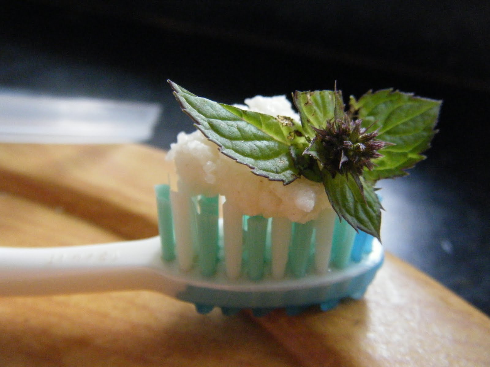 Organic Toothpaste recipe I picked up from the Lipstick