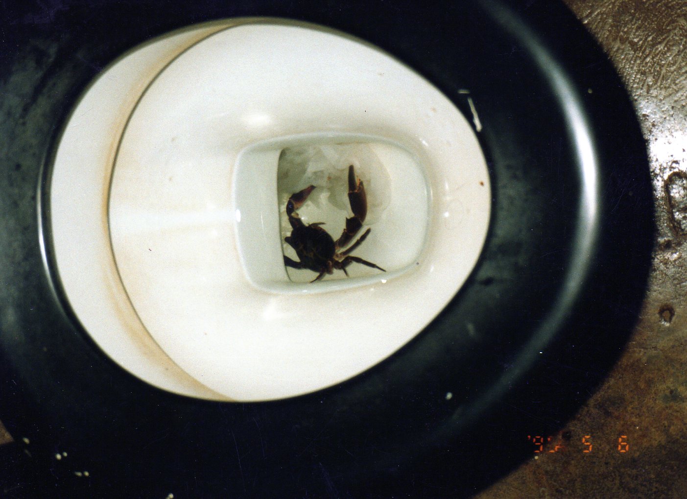 Footsteps NZTZ Life in Africa Twelve