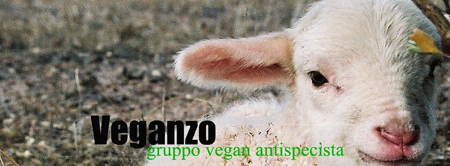 Veganzo