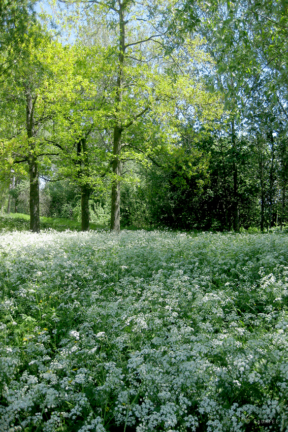 Raumfee Page 37 Chan 6647220 Rssing Com