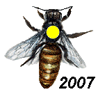BEE YEAR COLOR INDENTIFIER