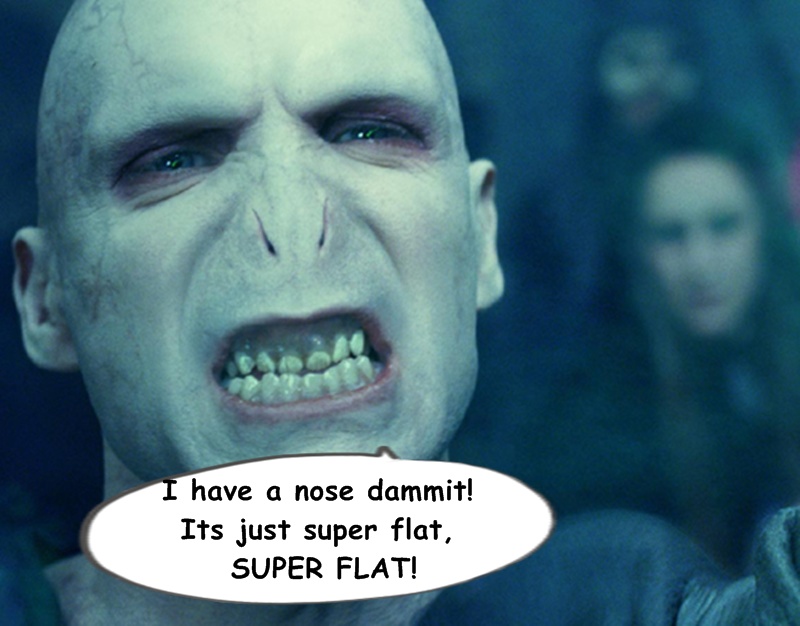Voldemort Just Got MEME-d