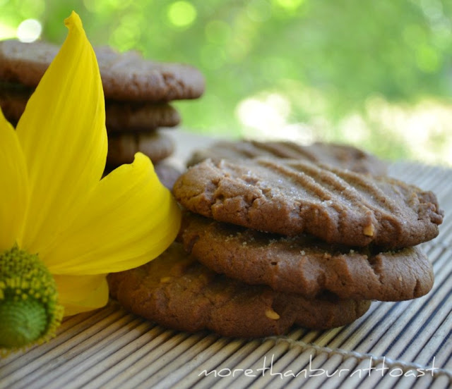 chocolate peanut butter cookies by Maida Heatter