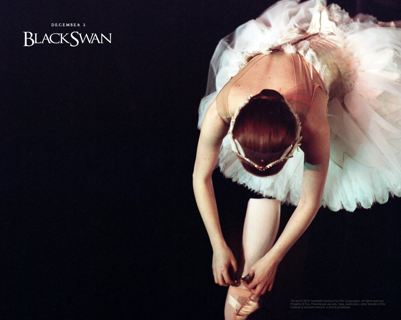http://1.bp.blogspot.com/-Wxe3Rty4JKI/TWZ_N4ojghI/AAAAAAAAB6U/mxWSL94ak9Q/s1600/1280x1024_BlackSwan_2.jpg